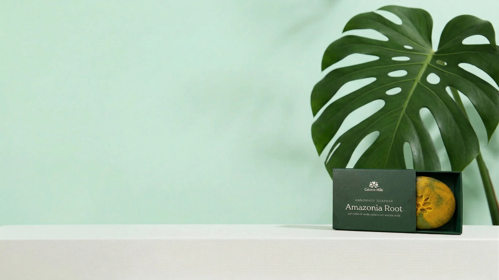 25% Off Your First Order