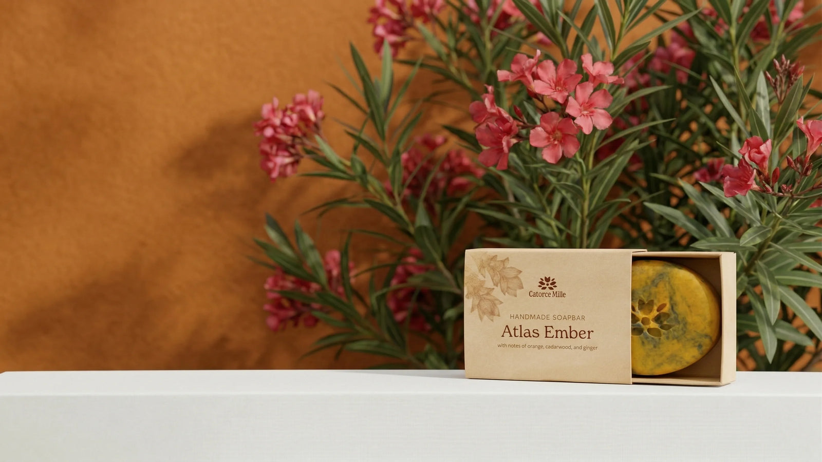 25% Off Your First Order