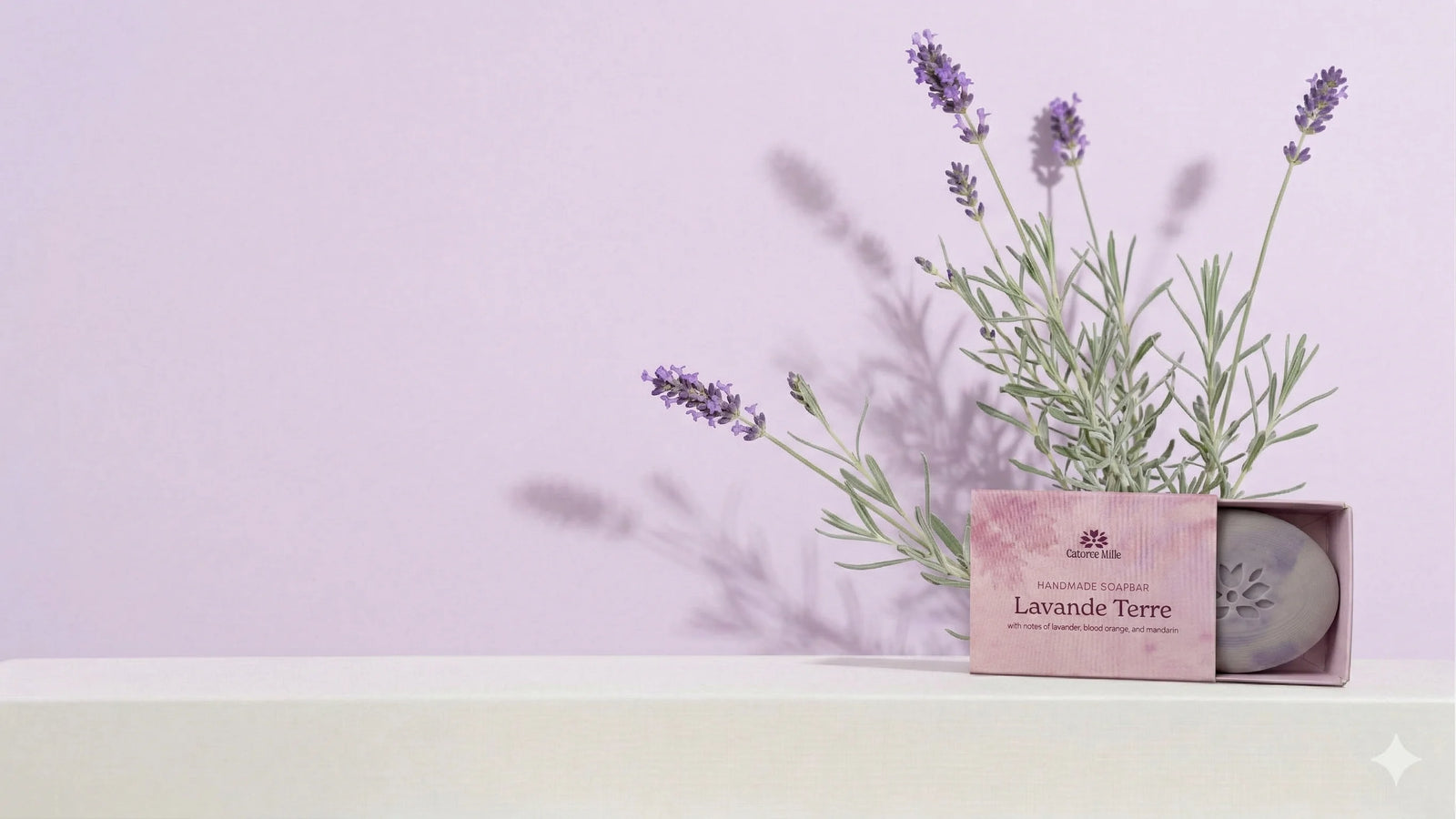 25% Off Your First Order