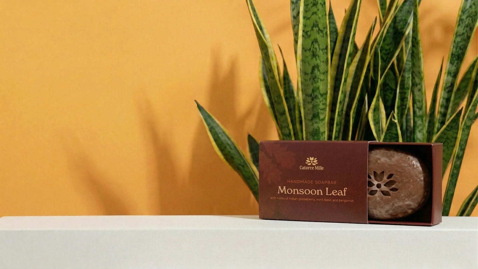 25% Off Your First Order