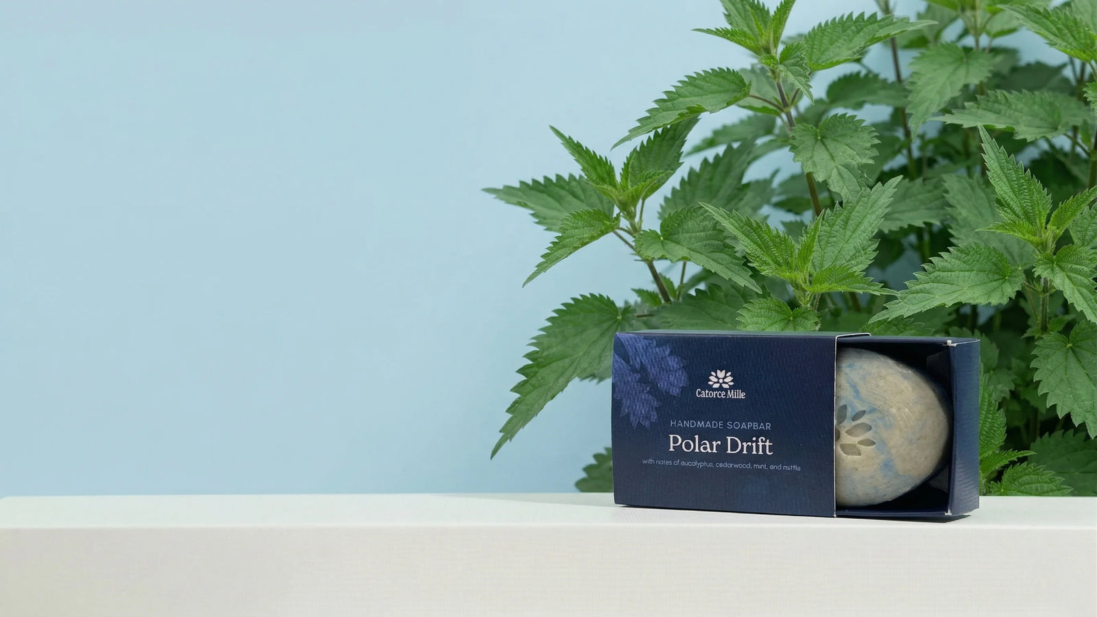 25% Off Your First Order