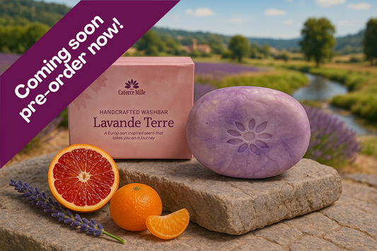 CM Europe – Lavande Terre